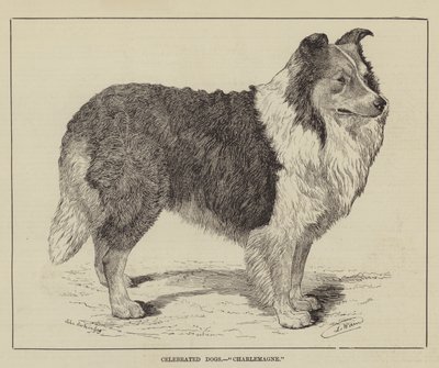 有名な犬、シャルルマーニュ 作： Louis Wain